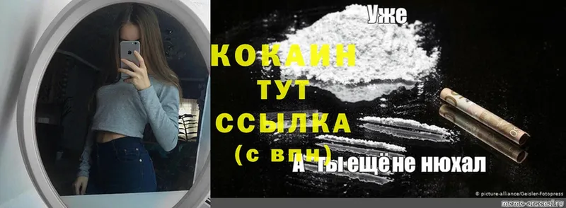 COCAIN Fish Scale  купить  сайты  Ковылкино 