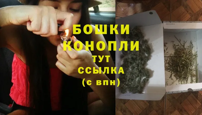 сколько стоит  Ковылкино  Шишки марихуана Ganja 